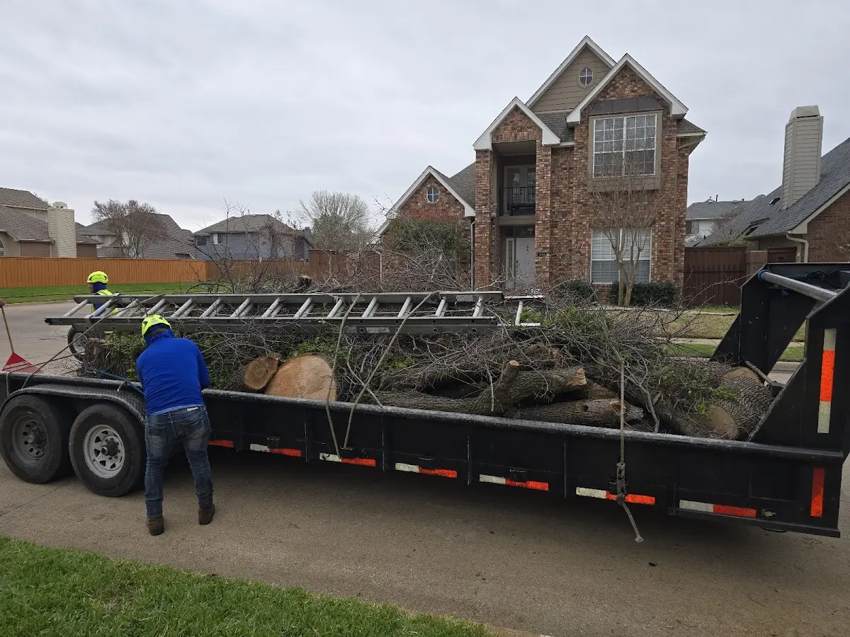 Expert Tree Pest Control with proper safety equipment in Monroe Center
